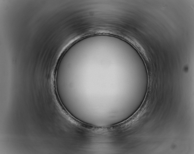 X0000100840798200806200737