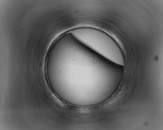 X0000100840799200806200737