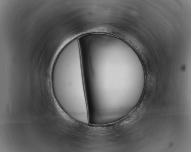 X0000100840800200806200737