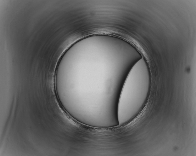 X0000100840802200806200737