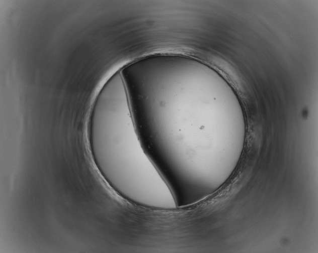 X0000100840804200806200737