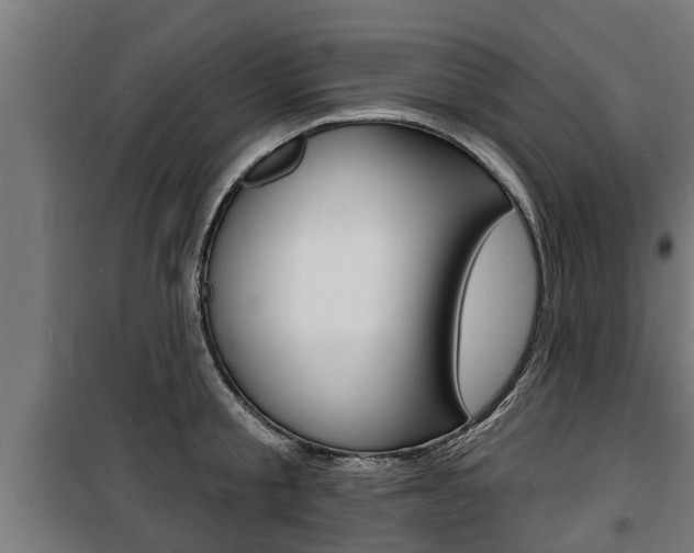 X0000100840805200806200737