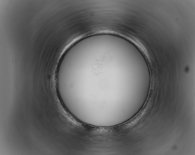 X0000100840806200806200737