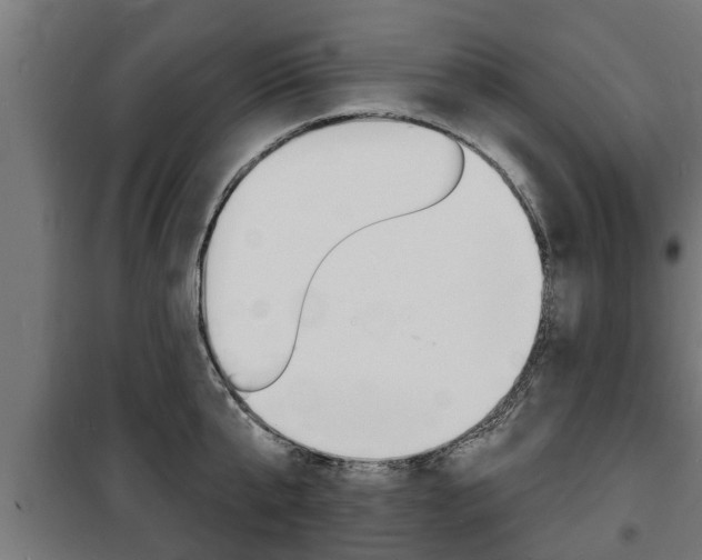 X0000100840807200806200737