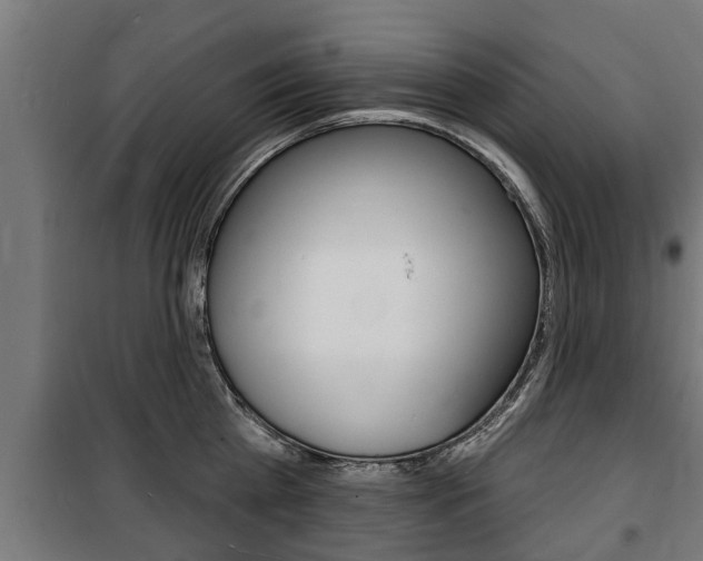 X0000100840809200806200737