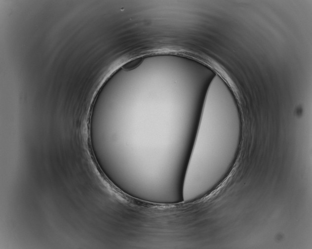 X0000100840810200806200737