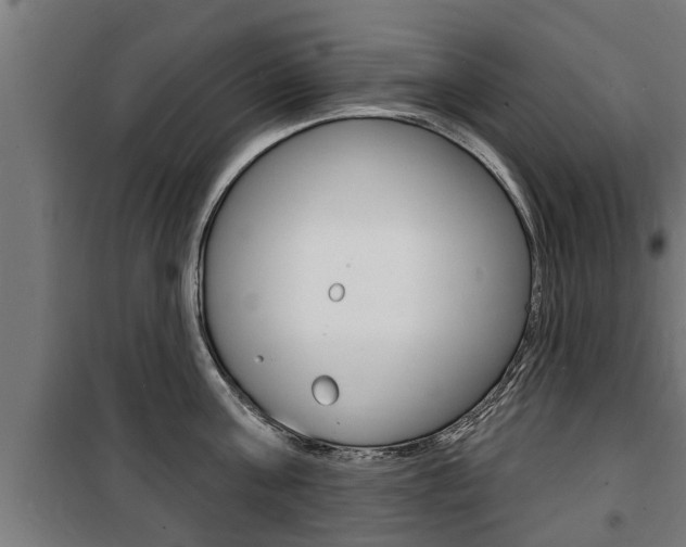 X0000100840811200806200737