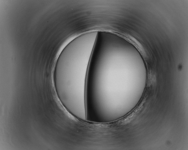 X0000100840812200806200737