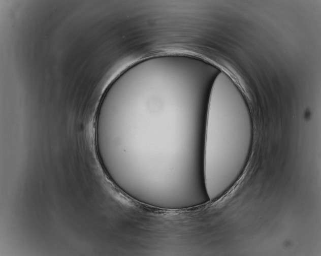 X0000100840814200806200737