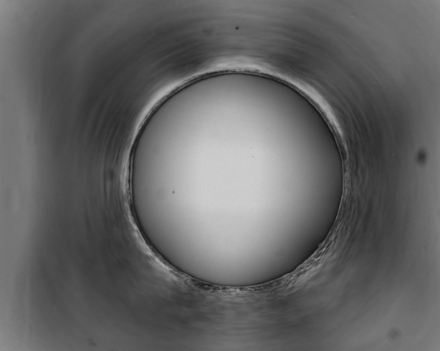 X0000100840815200806200737