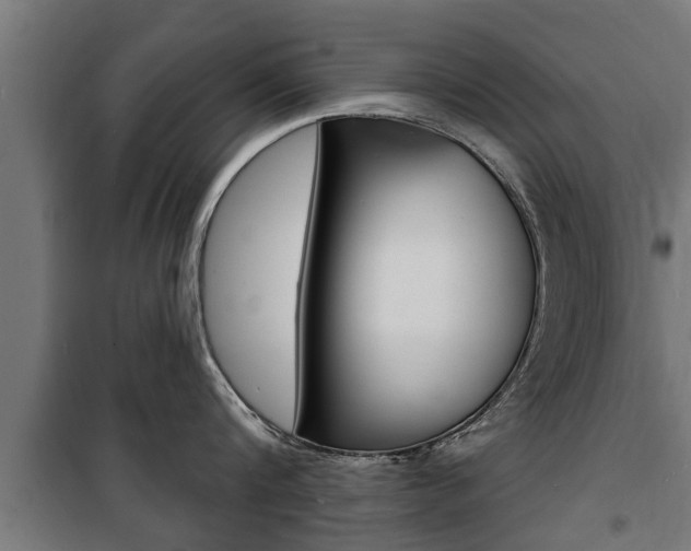 X0000100840816200806200737