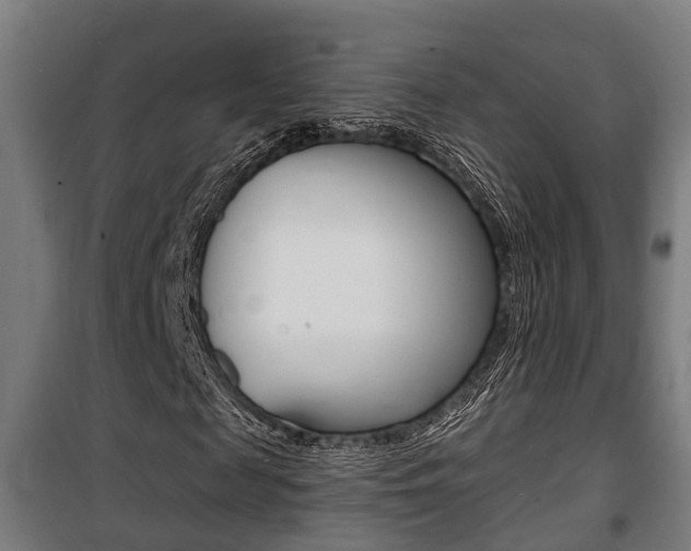 X0000100840817200806200736