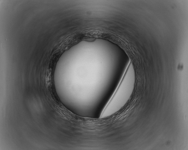 X0000100840818200806200736