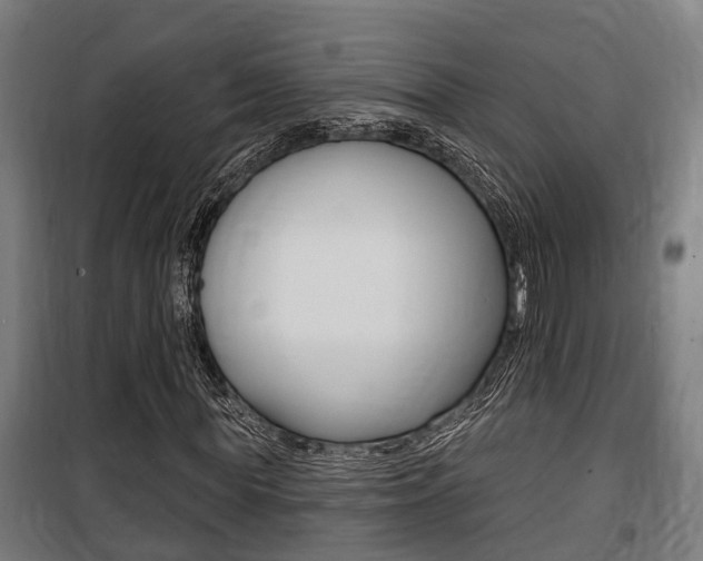 X0000100840819200806200736