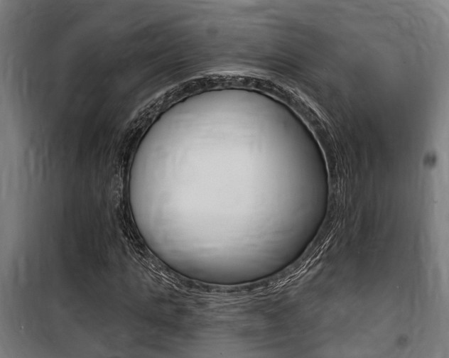 X0000100840821200806200736