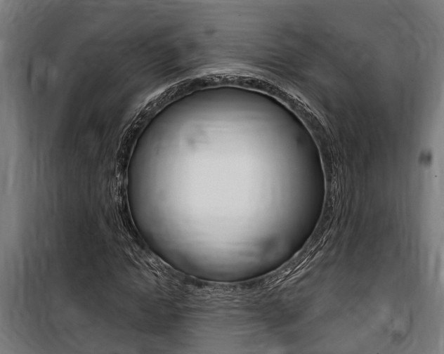 X0000100840822200806200736