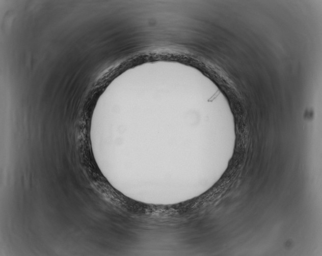 X0000100840824200806200736