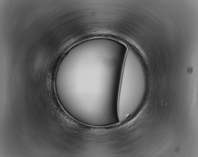 X0000100840825200806200736