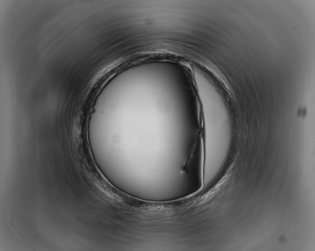 X0000100840826200806200736