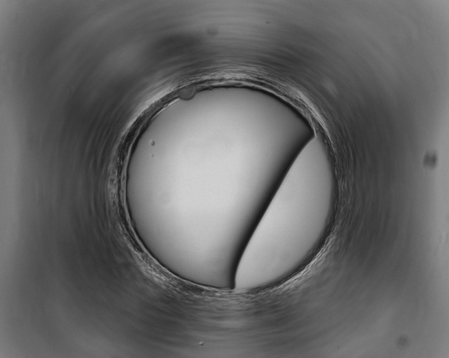 X0000100840827200806200736