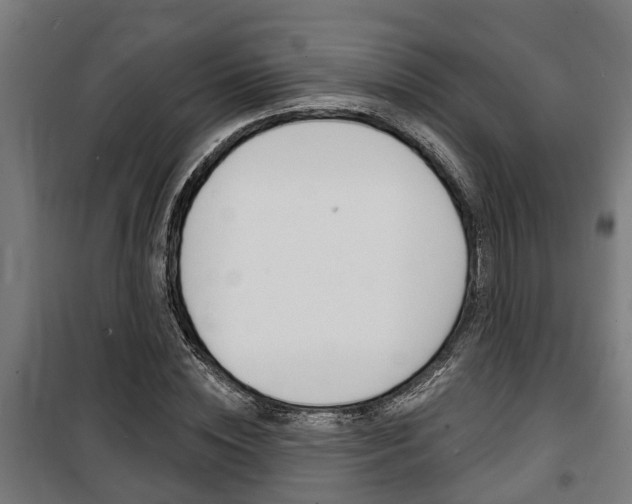 X0000100840828200806200736