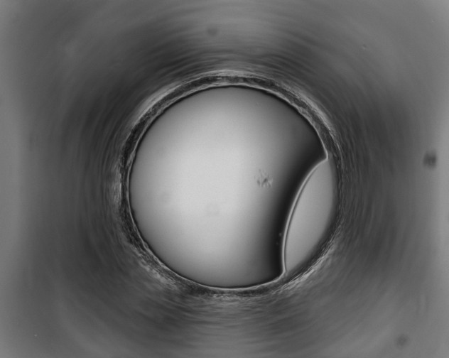 X0000100840829200806200736