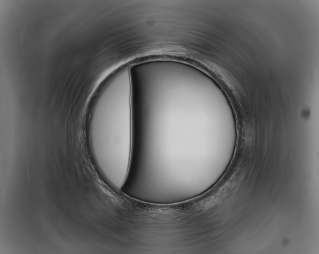 X0000100840830200806200736