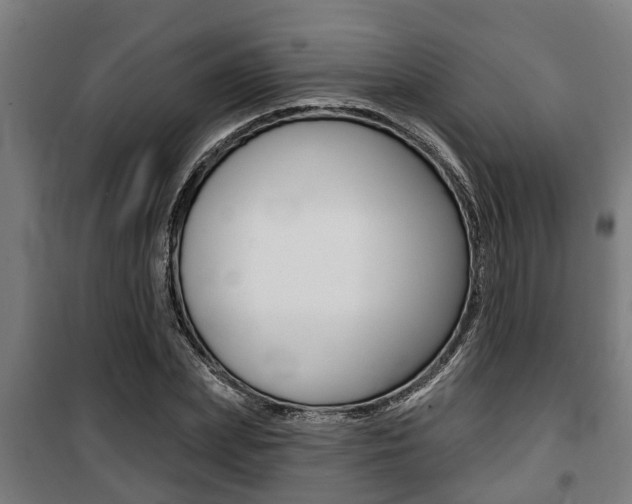 X0000100840831200806200736