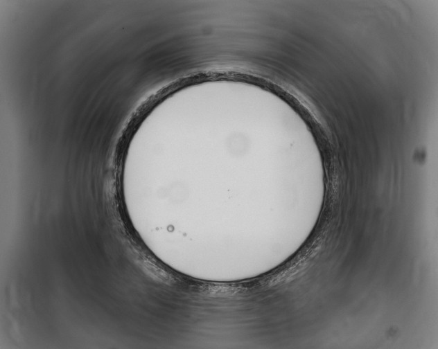 X0000100840832200806200736