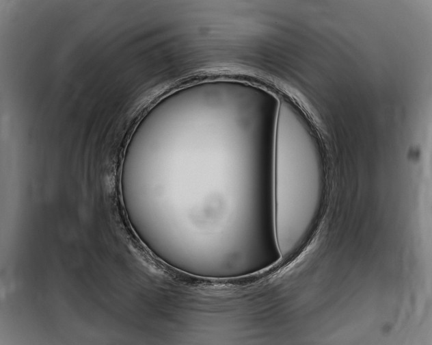 X0000100840833200806200736