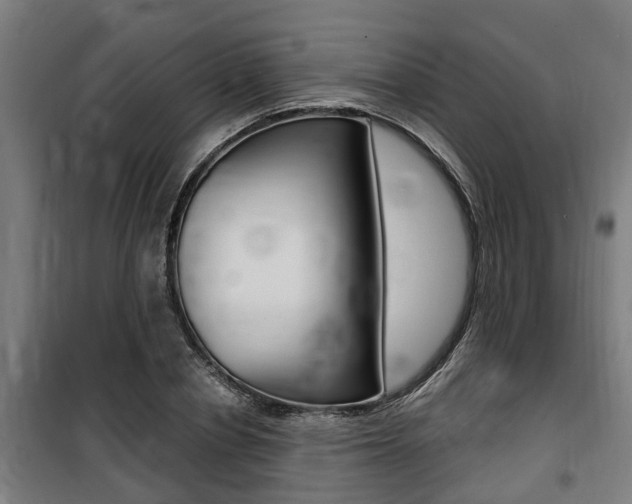 X0000100840834200806200736