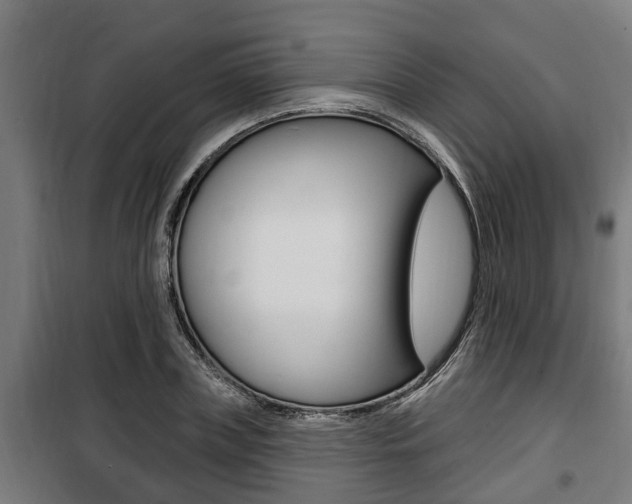 X0000100840835200806200736