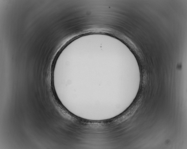 X0000100840836200806200736