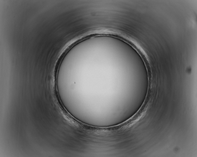 X0000100840837200806200736