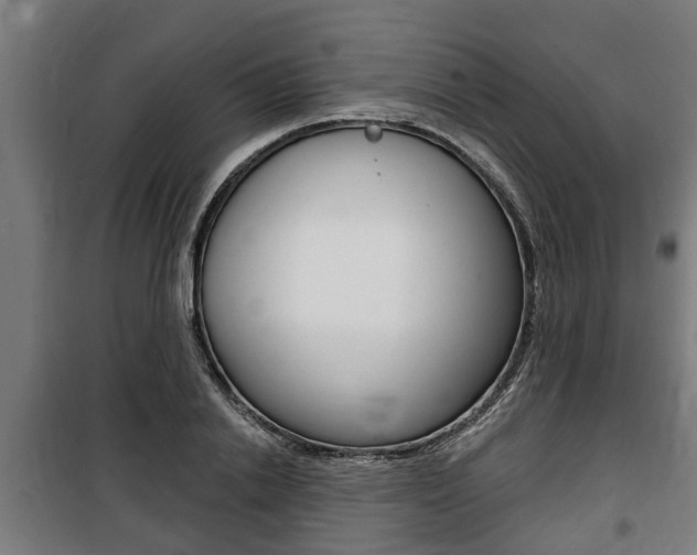 X0000100840838200806200736