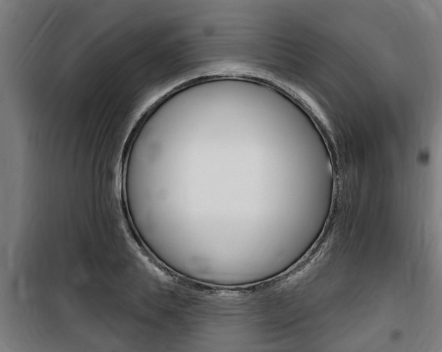 X0000100840839200806200736