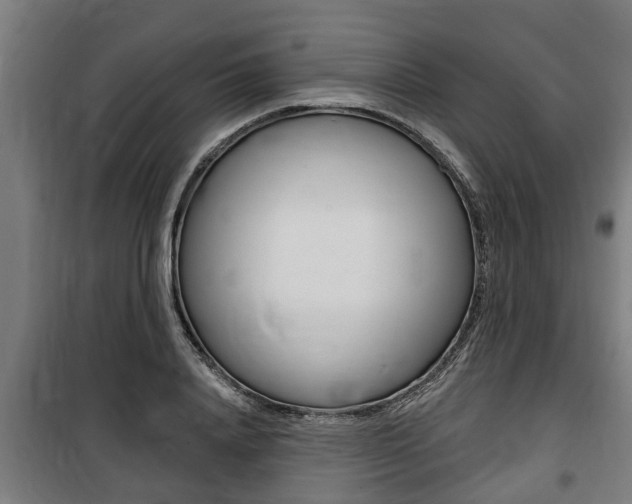 X0000100840840200806200736