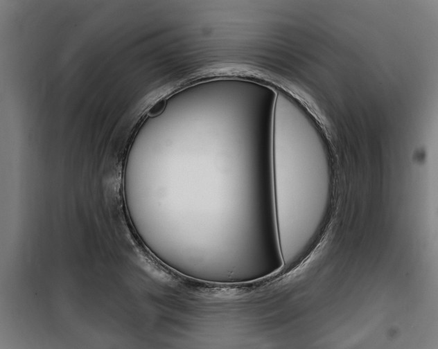 X0000100840841200806200736