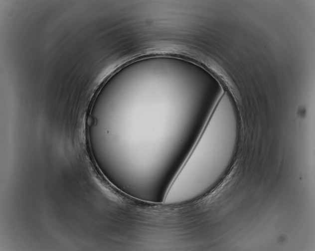 X0000100840842200806200736