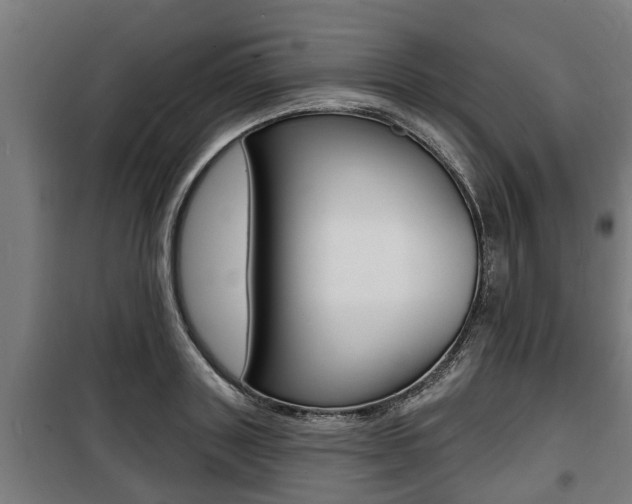 X0000100840843200806200736