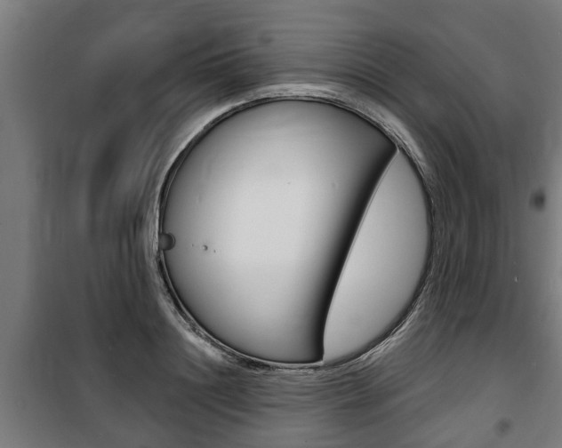 X0000100840844200806200736