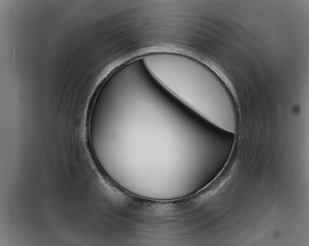 X0000100840845200806200736