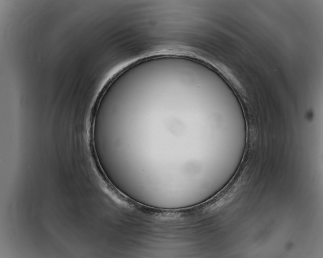 X0000100840846200806200736