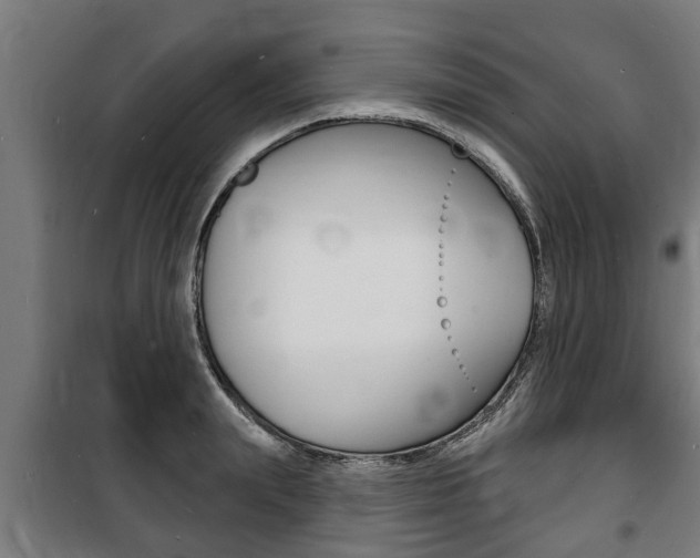 X0000100840847200806200736