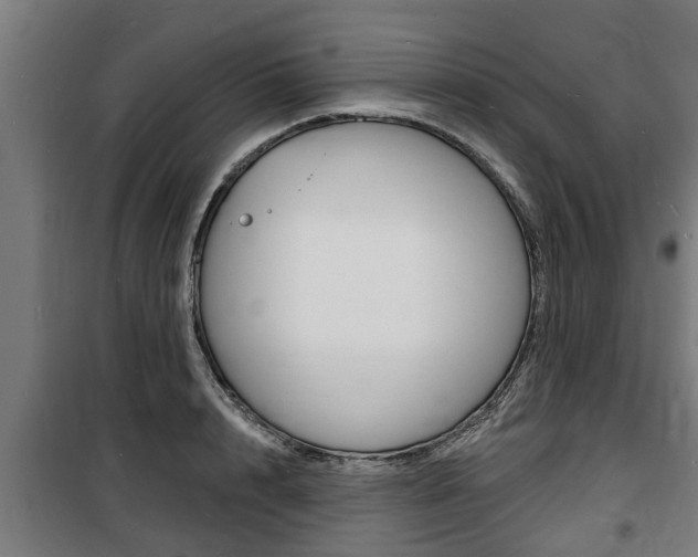 X0000100840848200806200736