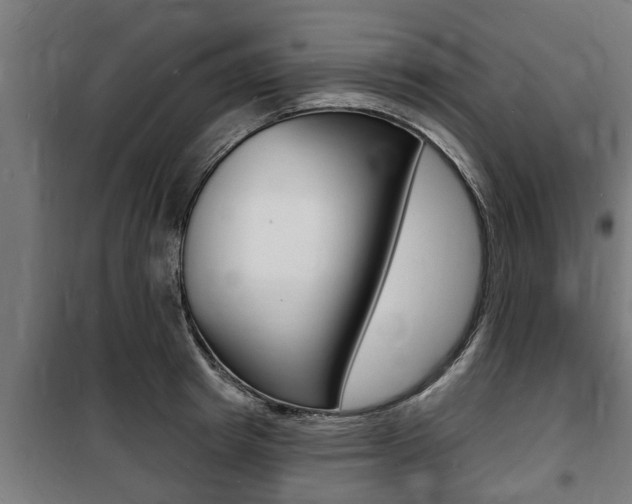 X0000100840849200806200736