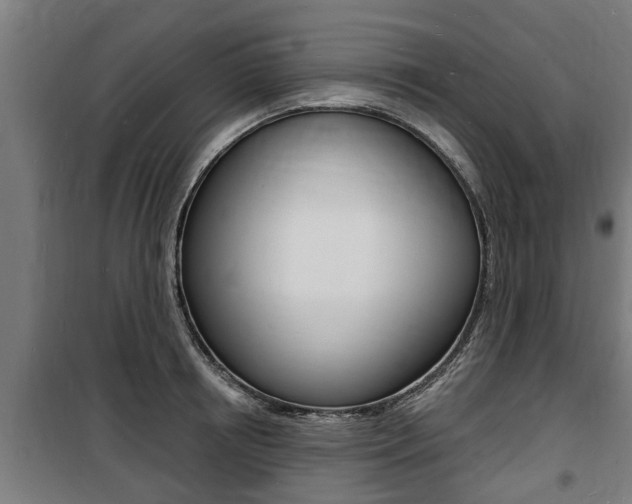 X0000100840850200806200736