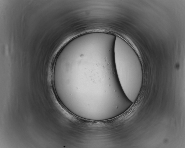 X0000100840851200806200736