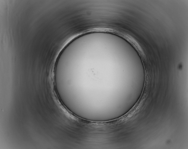 X0000100840852200806200736