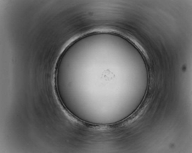 X0000100840853200806200736